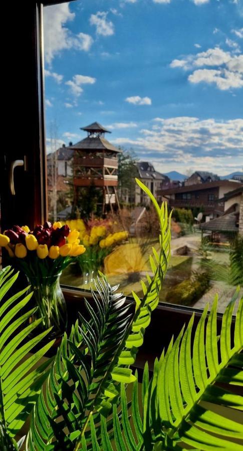 Malaviko, Bazen&Spa Zlatibor Zewnętrze zdjęcie